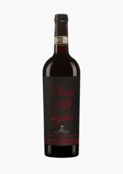 Antinori 'Pian Delle Vigne' Brunello Di Montalcino 2019
