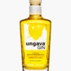 Ungava Gin 2 Ungava Gin -Famous Liquor Store 753183UngavaGin
