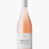 Invivo Taylor's Rose 2022